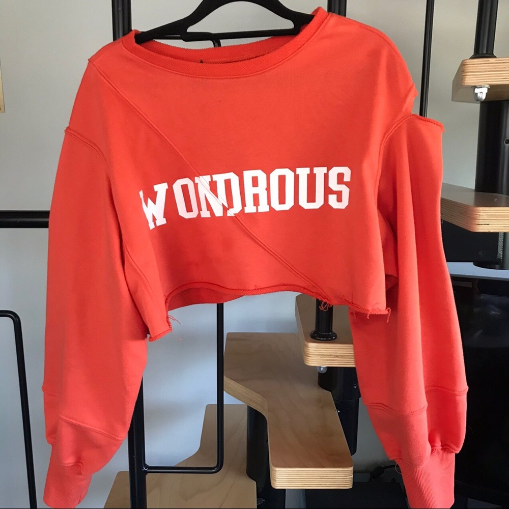 cropped long sleeve from a private boutique